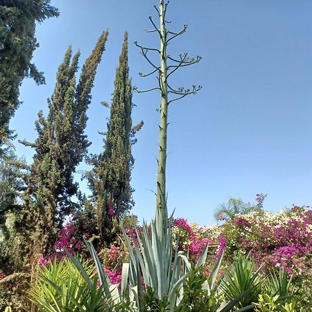 Riad-Villa Agadir-Taroudant Sidi Boumoussa Eksteriør bilde