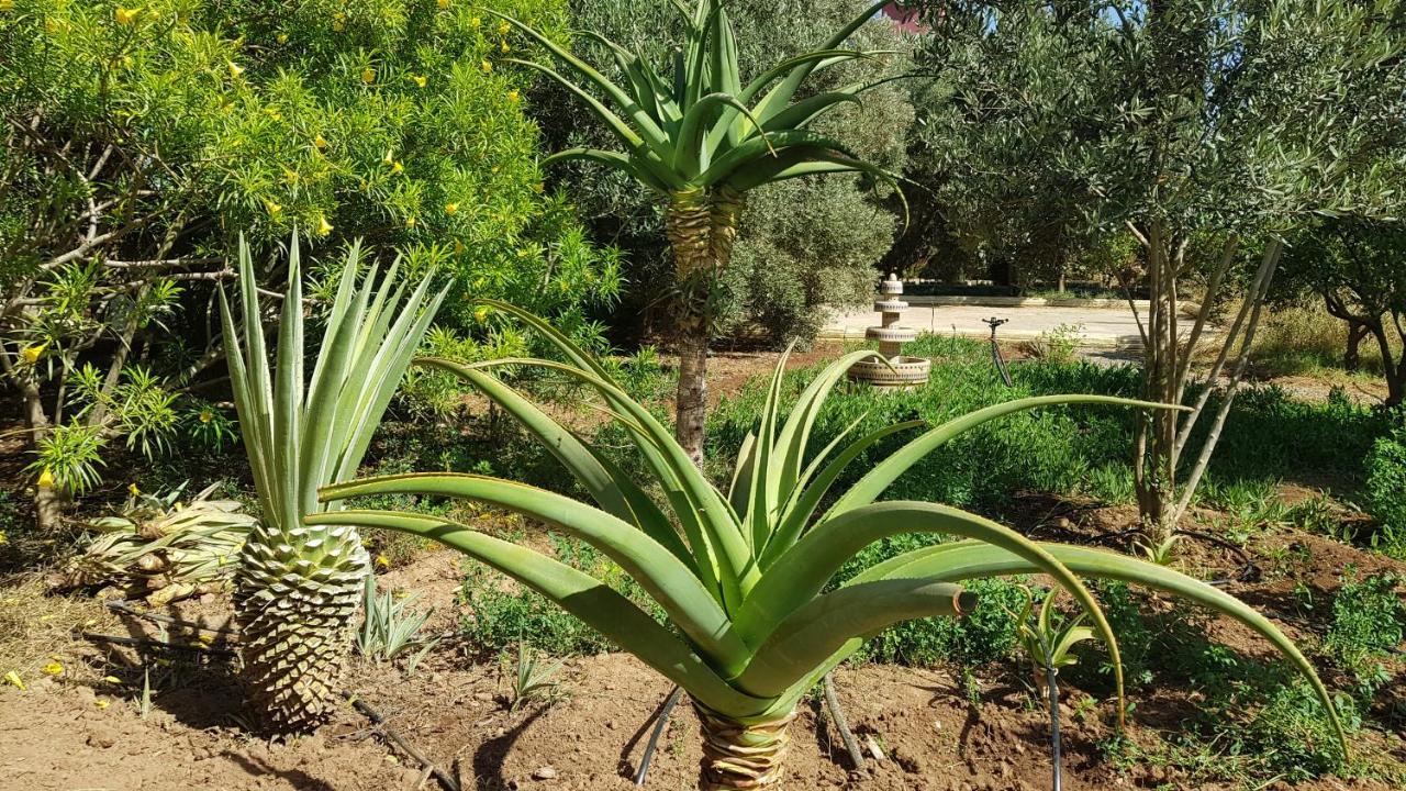 Riad-Villa Agadir-Taroudant Sidi Boumoussa Eksteriør bilde