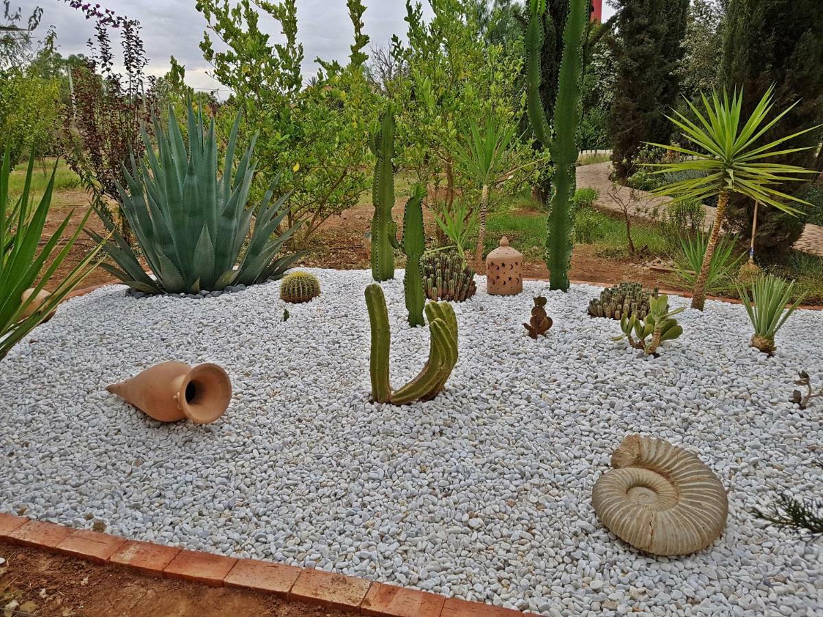 Riad-Villa Agadir-Taroudant Sidi Boumoussa Eksteriør bilde